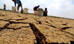Ilmuwan Peringatkan El Nino Super Mampu Landa Dunia Akhir 2026 : Dutaponsel
