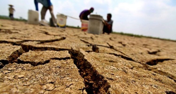 Ilmuwan Peringatkan El Nino Super Mampu Landa Dunia Akhir 2026 : Dutaponsel